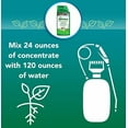 thumbnail image 5 of Natria Grass & Weed Control with Root Kill, Ready to Use, 24oz, 5 of 8