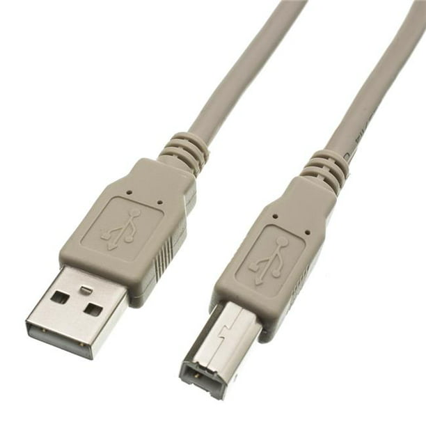 Cable Wholesale C10U2-02201 Âble d'Imprimante et d'Appareil USB 2.0 Tapez un Mâle pour Taper B Male - 1 ft.
