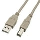 Cable Wholesale C10U2-02201 Âble d'Imprimante et d'Appareil USB 2.0 Tapez un Mâle pour Taper B Male - 1 ft. – image 1 sur 1