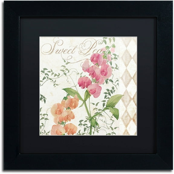 Trademark Fine Art "Sweet Pea" Canvas Art by Color Bakery Black Matte, Black Frame