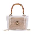thumbnail image 1 of Bolso bandolera de moda Bolsos de mano para mujer con bolsa exterior transparente (caqui) Likrtyny Para Estrenar, 1 of 9