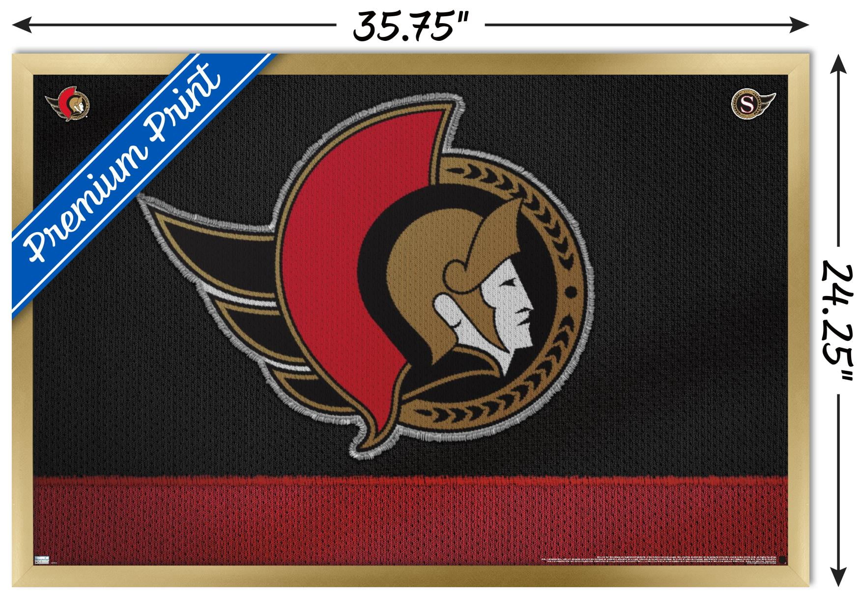 NHL Ottawa Senators - Logo 20 Wall Poster, 22.375" x 34", Framed