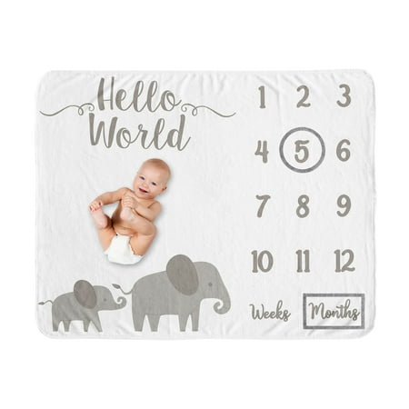 UPC: 0846480087366 | Elephant Grey and Mint Milestone Baby Blanket by Sweet Jojo Designs