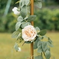 thumbnail image 6 of Efavormart Set Of 2 | Gold Metal Curved Top Wedding Arch Frames, Balloon Flower Backdrop Stands - 6ft, 8ft, 6 of 9