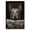 Appenzeller Sennenhund, variant on Funny Animals Canvas Wall Art, Poodle Dog Read Newspaper on Toilet in Bathroom Picture Prints Wall Decor, Artwork Collection, Ready to Hang, wall decor living room