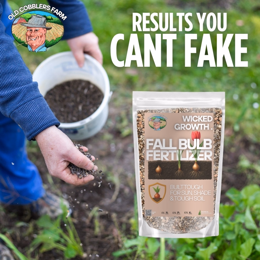 thumbnail image 6 of Old Cobblers Farm™ Wicked Growth Fall Bulb Fertilizer – Flowering Bulb Plant Food for Tulips, Daffodils, Hyacinths & for Stronger Roots, Bigger Blooms, Cold-Weather Formula (5/10/15/20 lbs) (15 lbs), 6 of 6