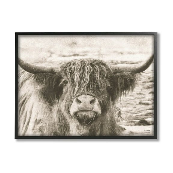 Stupell Industries Highland Cattle Cow Gazing Photography Photograph Black Framed Art Print Wall Art, Design by Nathan Larson