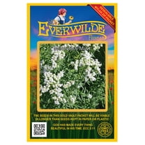 Everwilde Farms - 2000 Mountain Mint Native Wildflower Seeds - Gold Vault Seed Packet