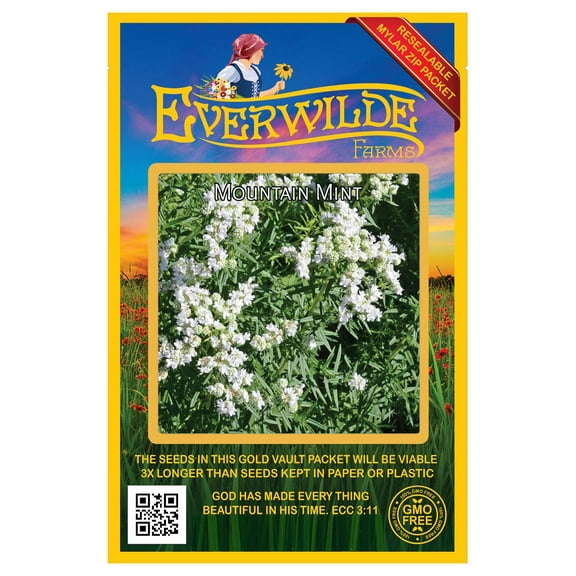 Everwilde Farms - 2000 Mountain Mint Native Wildflower Seeds - Gold Vault Seed Packet
