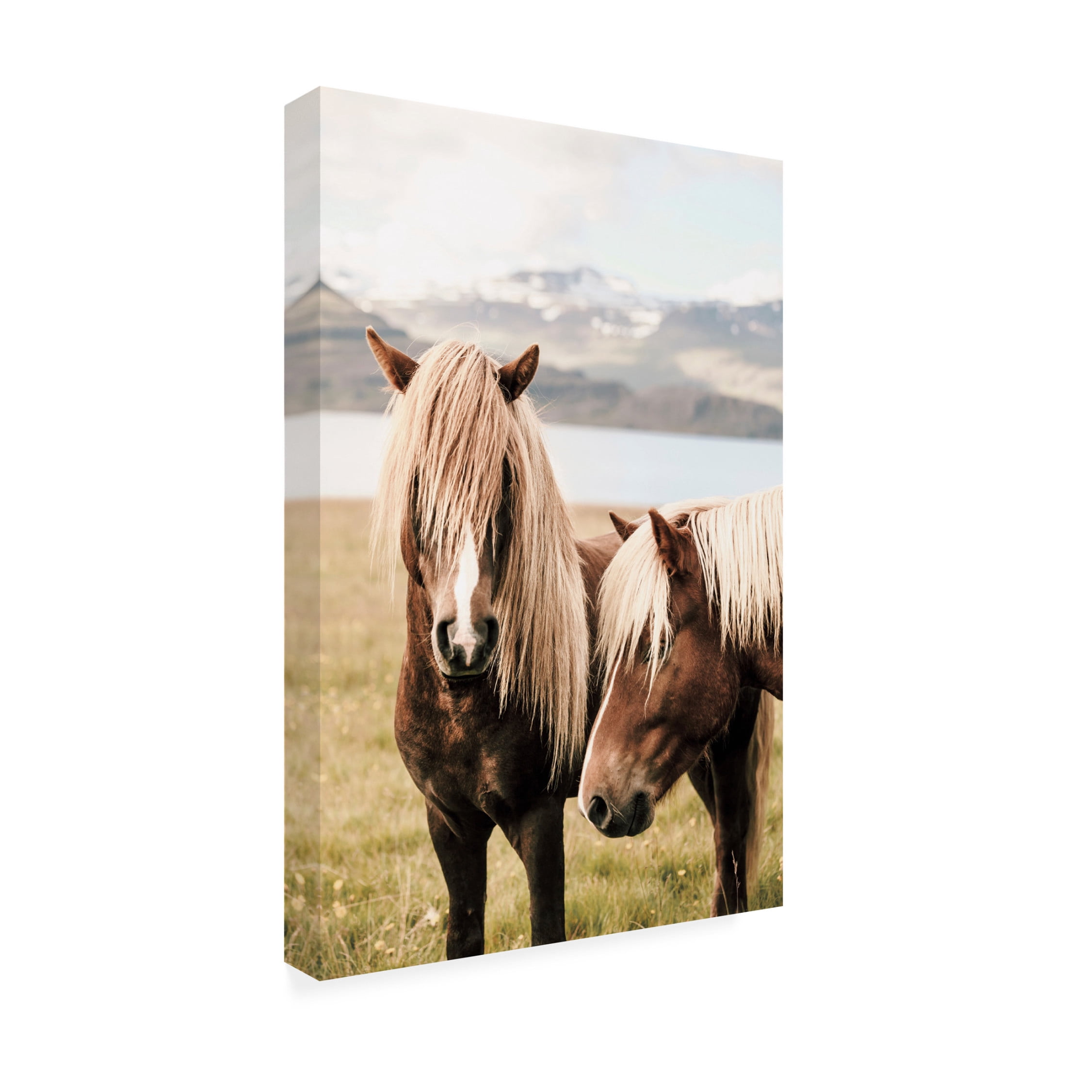Canvas Wall Art - Krista Broadway 'Abana' Wall Art for Living Room, Bedroom, or Office Décor by Trademark Fine Art - 12 x 19 Inches