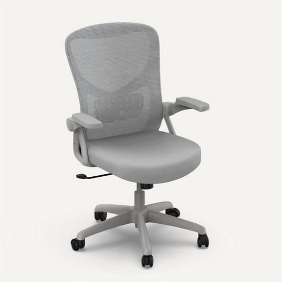 Flexispot OC3B Essential Office Chair, Gray