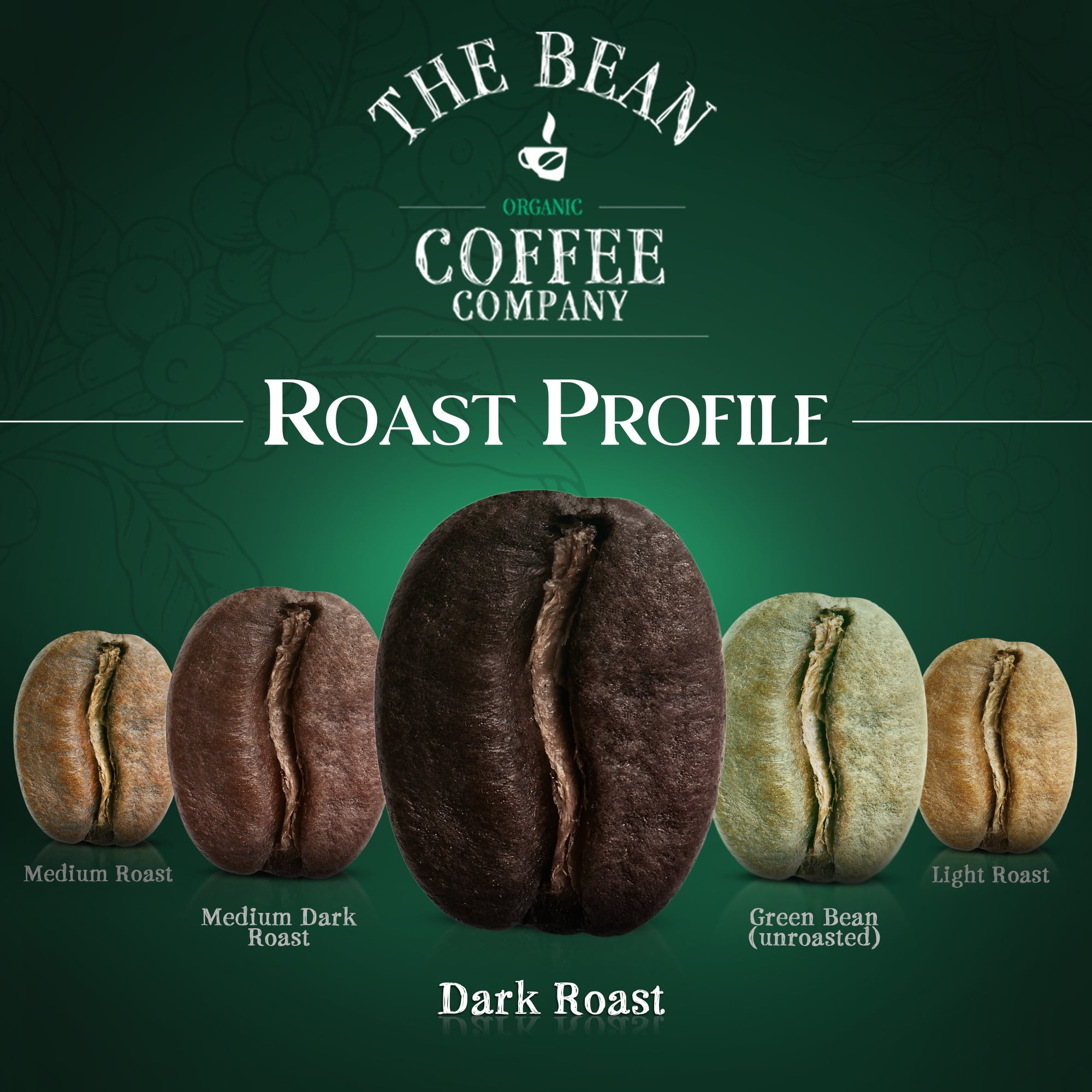 The Bean Organic Coffee Company Water Processed DECAF Le Bean, Dark French Roast, Whole Bean Coffee, 16-Ounce Bag