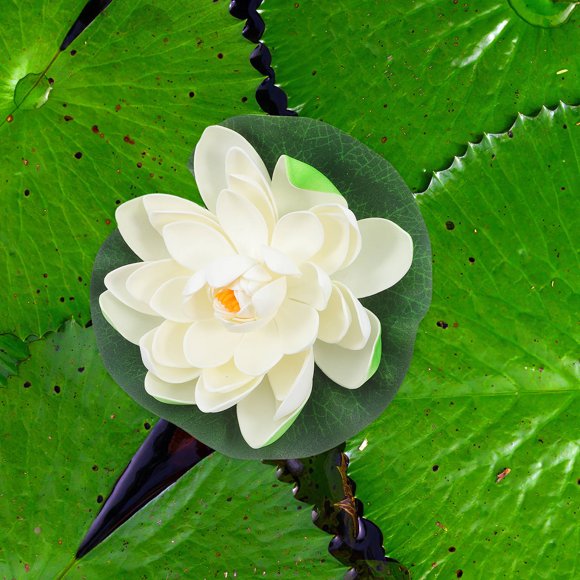 IDEANATEGRATE 5Ud Plantas Artificiales Flotantes Para Pecera Con Y Suaves