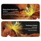 thumbnail image 5 of Hand-Cranked Copper Column Three Hook Bait Yellow Dot, 5 of 5