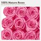 thumbnail image 5 of Rosas preservadas Eterfield Forever Flowers 16 rosas rosas, 5 of 6