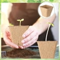 thumbnail image 3 of Zhuge Paquete de 100 macetas de turba cuadradas de 2,4 pulgadas para plántulas,macetas para viveros de plántulas para plantas, macetas para trasplantar al aire libre con 4 agujeros, 3 of 5