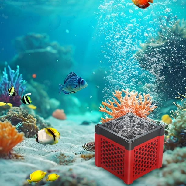 Filtro para Acuario de Ultrafiltración y Absorción | Purificador de Agua con Carbón Activado | Larga Duración | Tamaño Compacto: 6 X 6 X 5,5 Cm | Lcp250616001B