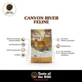 thumbnail image 2 of Taste Of The Wild Para Gato Trucha 2.28 Kg Original Sellado, 2 of 5