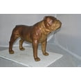 thumbnail image 6 of Nifao Bulldog Medium Bronze Statue – Home Decor Sculpture, 29"L x 11"W x 20"H, 6 of 11