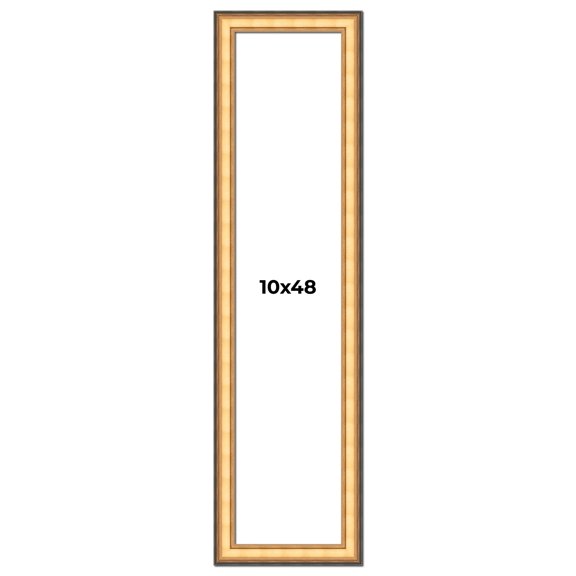 10x48 Frame Gold Plein Aire Solid Wood Picture Frame Width 2 Inches | Interior Frame Depth 0.5