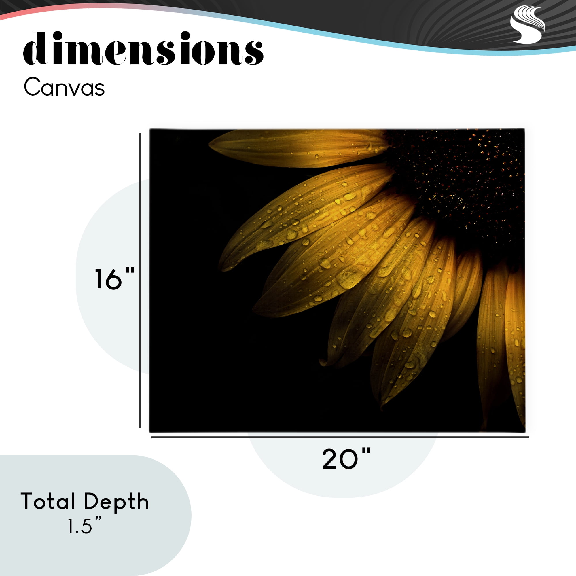 Water Droplets on Sunflower Canvas Wall Art, design by Brian Carson Photography