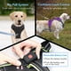 thumbnail image 4 of Chaleco de perro iluminado Vizbrite LED recargable para perros, 4 of 6