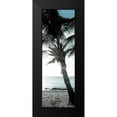 thumbnail image 2 of Bryant, Susan 7x14 Black Modern Framed Museum Art Print Titled - Cool Bimini Palm I, 2 of 5