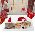 thumbnail image 5 of CSCHome Christmas Doormat, Cute Dog Animal Doormat Anti-Slip Carpet Floor Mat Decoration Suitable for Home Bathroom Kitchen Indoor 16x24inch, 5 of 5
