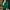 Green, variant on SBYOJLPB Cardigan Sweaters for Women Women'S Solid Color Long Sleeved Round Neck Knitted Sweater Thin Cardigan Sweater Top