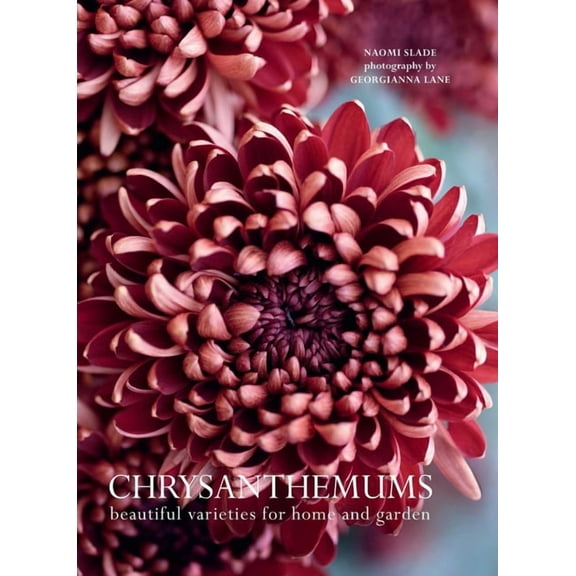Flowers Chrysanthemums: Beautiful Varieties for Home and Garden, (Hardcover)