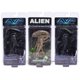 thumbnail image 5 of Figura de acción Arco Iris Latino Alien vs Predator Xenomorph/Kokor Alien/Grid Alien PVC 19 cm, 5 of 5