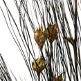 thumbnail image 4 of Vickerman 36-40" Long Stem Bell Grass with Natural Colored Seed Pods, 2 per pack, Preserved, 4 of 5