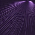 thumbnail image 1 of Ahgly Company Machine Washable Indoor Square Transitional Deep Purple Area Rugs, 5' Square, 1 of 7