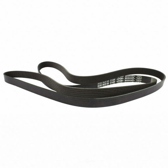 Motorcraft JK6-893-A Serpentine Belt