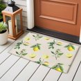thumbnail image 3 of Summer Fruit Washable Entry Rug 2x3 Watercolor Yellow Lemon Rustic Farmhouse Leaves Low Pile Indoor Door Mat with Rubber Backing Thin Area Rug for for Entrance, Bedroom, Kitchen, Laundry, Bathroom, 3 of 9