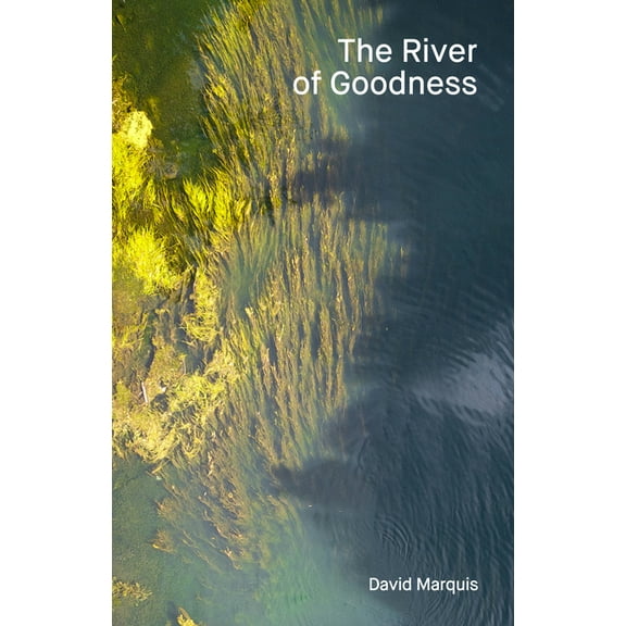 River Trilogy The River of Goodness, Book 2, (Hardcover)