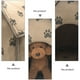 thumbnail image 2 of Tienda de campaña plegable para mascotas, divertida tienda de juegos, suministros portátiles para mascotas, cama plegable para perros, 2 of 6