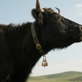 thumbnail image 5 of Collier d'Animal de Style Rétro pour Festival et Élevage, pour Ambiance Extérieure de Bovins et de Moutons, Fournitures pour Animaux, 5 of 5
