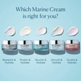 thumbnail image 5 of Crema de noche ELEMIS Pro-Collagen Ultra Rich 50 ml, 5 of 5