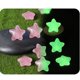 thumbnail image 5 of Piedras luminosas de resina que brillan en la oscuridad 100 piezas para jardines, caminos, acuarios y decoración del hogar, 5 of 5