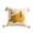 C#199, variant on Autumn Maple Leaves & Pumpkins Pillow Cover with "Be Thankful" Phrase – Cozy Fall Decor for Sofa, Porch, Patio – 17.7x17.7 Inch Square Cushion Case for Farmhouse, Cottage, Outdoor Seating