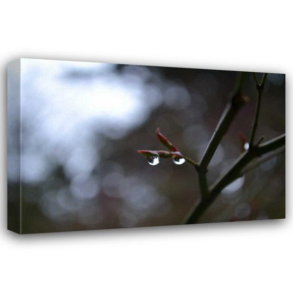 Brian Moore 18x13 Gallery Wrapped Canvas Wall Art Titled - Dew Drops