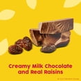 thumbnail image 2 of (Price/Case)Raisinets Milk Stand Up Bag, 8 Ounce, 8 per case, 2 of 7