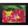thumbnail image 2 of Henry, Lola 24x19 Black Modern Framed Museum Art Print Titled - Painterly Flower VI, 2 of 5