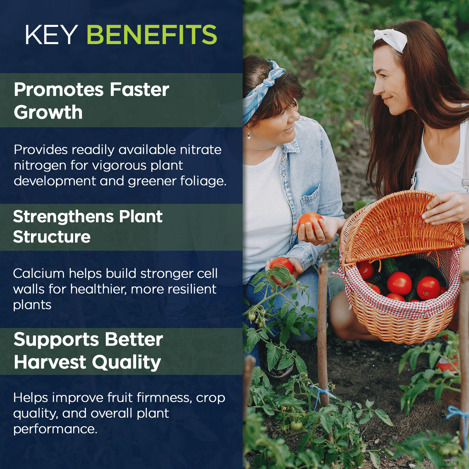 Supply Solutions Calcium Nitrate 15.5-0-0 + 19% Ca | Fast-Acting Water Soluble Fertilizer Prevents Blossom End Rot - Boosts Growth & Yield for Vegetables, Fruit, Gardens & Hydroponics (25 Pounds)