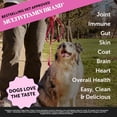 thumbnail image 2 of Pet Honesty Multivitamin Supplement with Salmon Oil for Dogs - Allergy Itch Relief, Digestion, Skin & Coat Health, Liquid Supplement - Dog Food Topper Bone Broth with Prebiotics (12 oz), 2 of 7