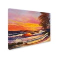 thumbnail image 2 of Trademark Fine Art 'Hawaiian Glow' Canvas Art by Manor Shadian, 2 of 3