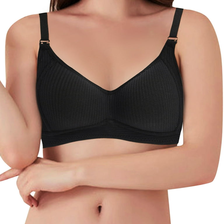 Buy Women Comfortable wire free Everyday bras, Pack of 2 Online at