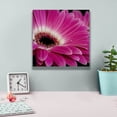 thumbnail image 4 of Epic Graffiti 'Gerbera Daisy' by Pamela Plummer, Canvas Wall Art, 12"x12", 4 of 8