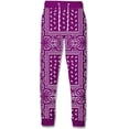 thumbnail image 4 of Sweat à Capuche Bandana Bleu pour Hommes Femmes Bandanas Noirs Vêtements Imprimés Veste Paisley Hip Hop Jogger Pantalons T-Shirts Bandana Rouges Shorts Vêtements Tenues, 4 of 15